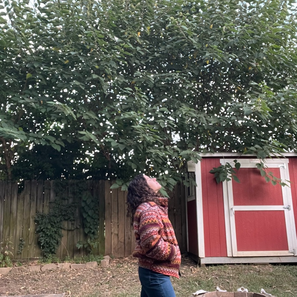 Free People Multicolor Patterned Jacket - image 5